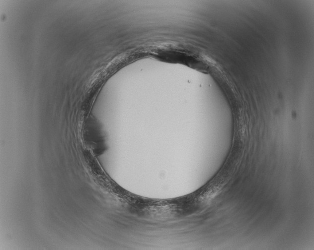 X0000053050307200508011855