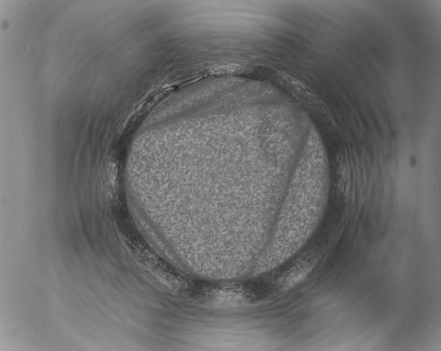 X0000053050308200508011855