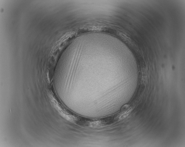 X0000053050309200508011855