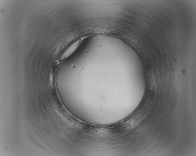 X0000053050310200508011855