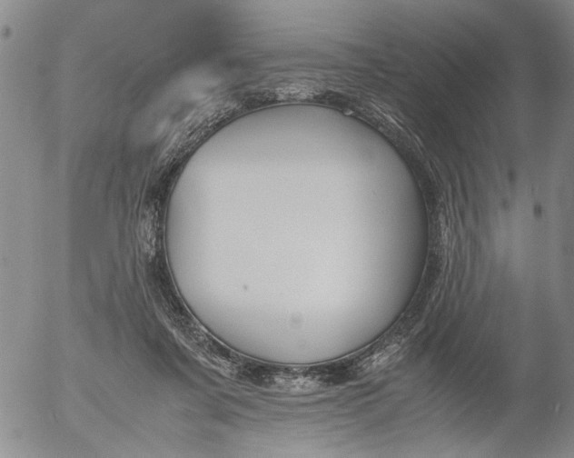 X0000053050311200508011854