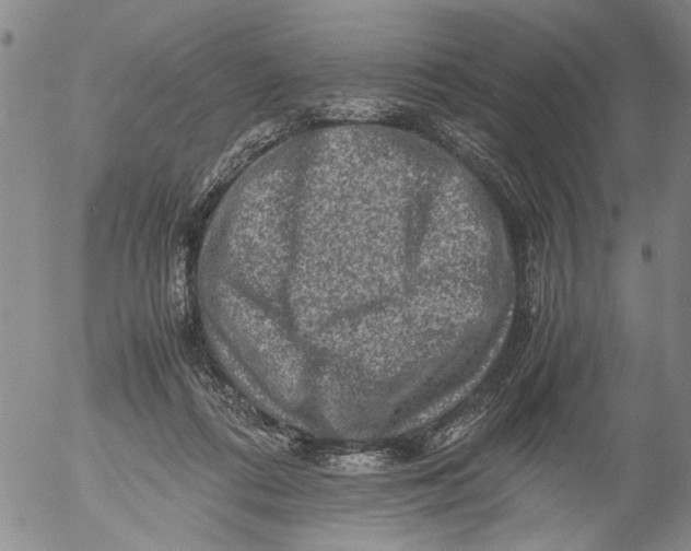 X0000053050312200508011854