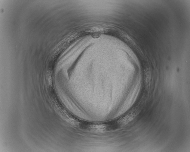 X0000053050313200508011854