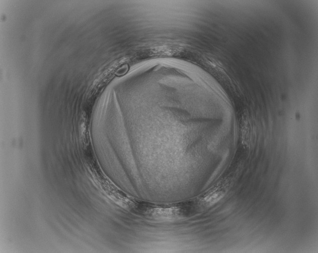 X0000053050314200508011854