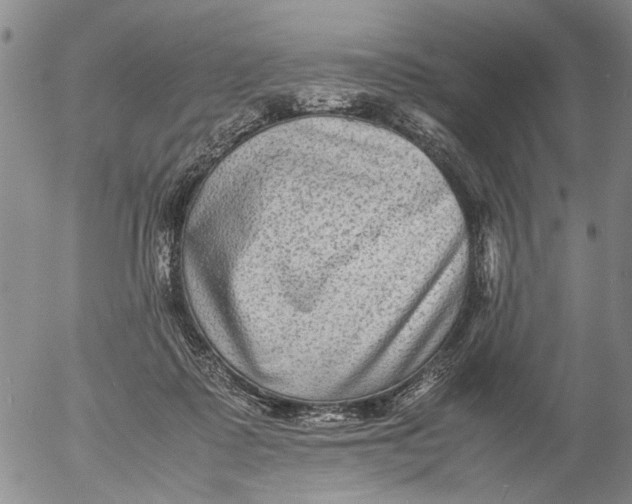 X0000053050315200508011854