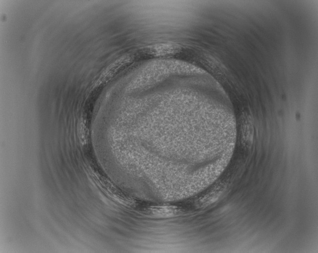 X0000053050316200508011854