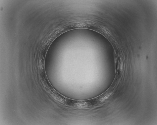 X0000053050317200508011854