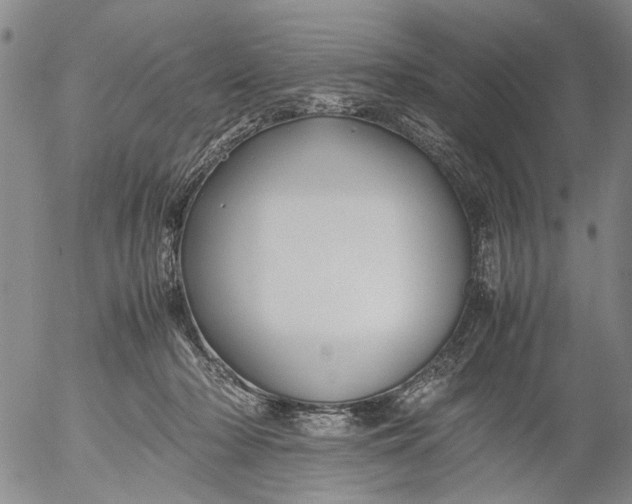 X0000053050318200508011854