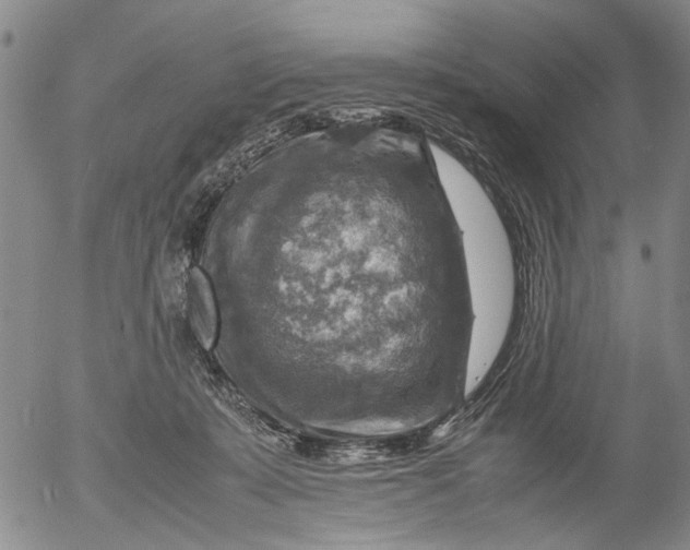 X0000053050319200508011854