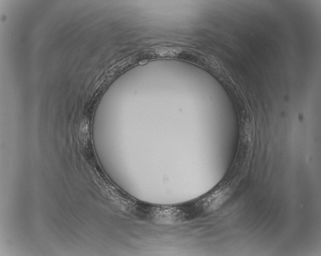 X0000053050321200508011854