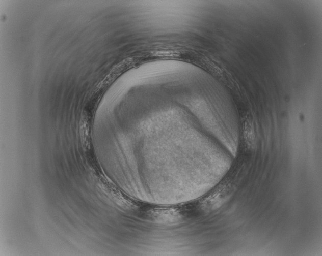 X0000053050322200508011854