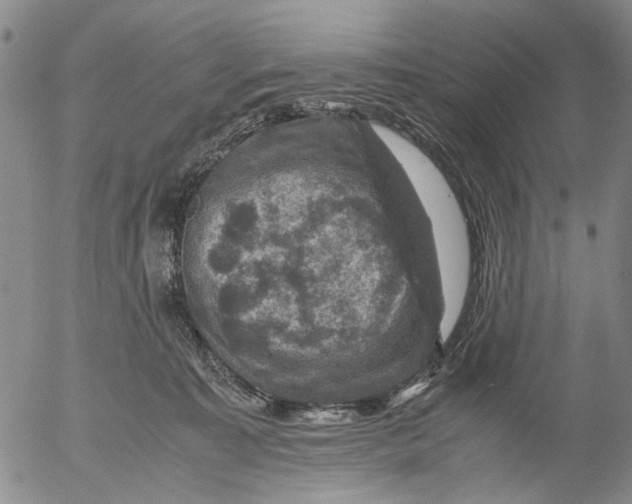 X0000053050323200508011854