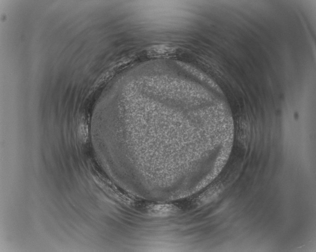 X0000053050324200508011854