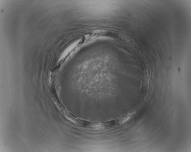 X0000053050325200508011854