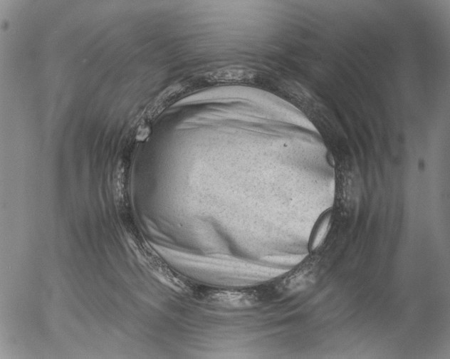 X0000053050326200508011854