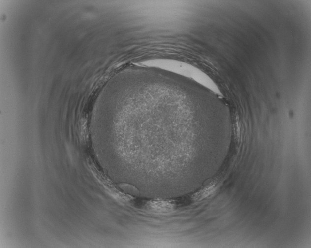 X0000053050327200508011854