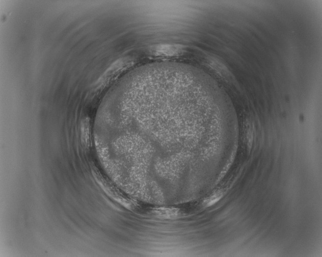 X0000053050328200508011854