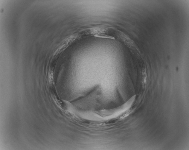 X0000053050329200508011854