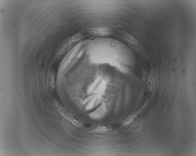 X0000053050330200508011854