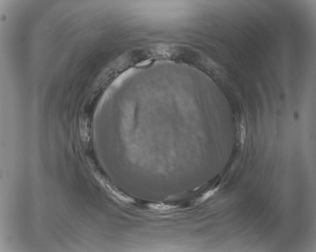 X0000053050331200508011854