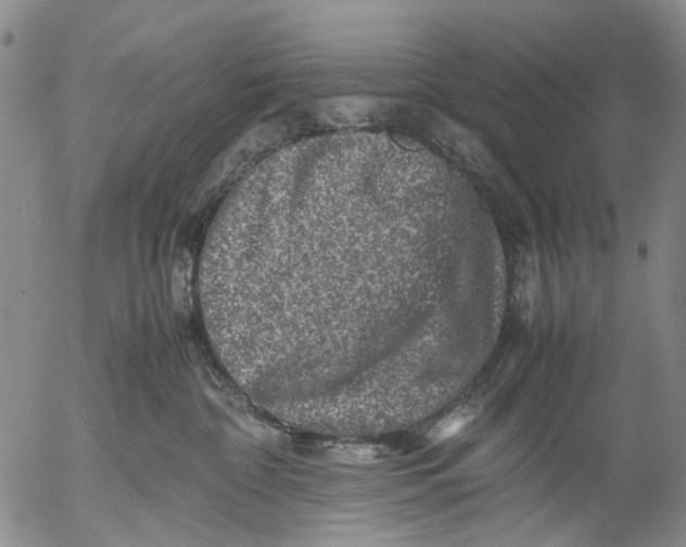 X0000053050332200508011854