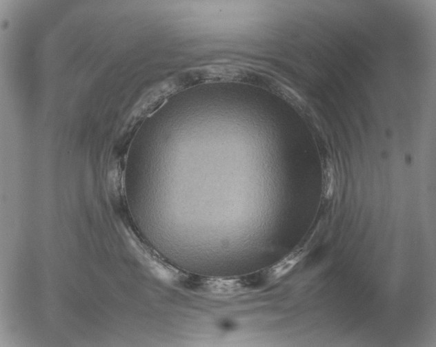 X0000053050333200508011854