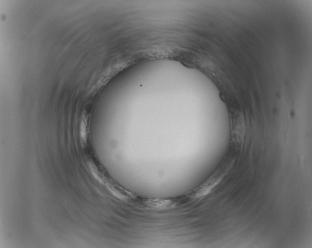 X0000053050334200508011854