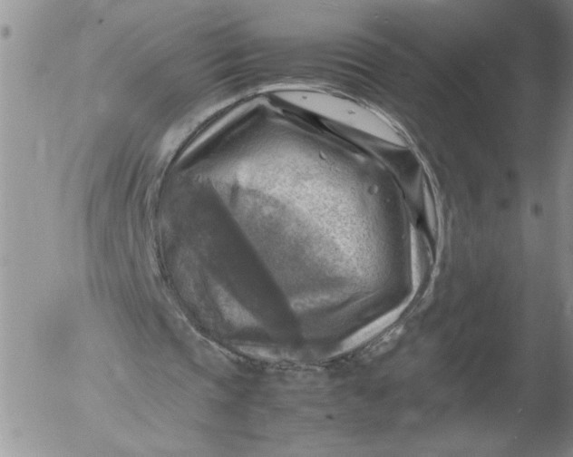 X0000053050337200508011853