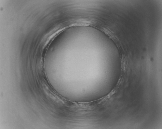 X0000053050338200508011853