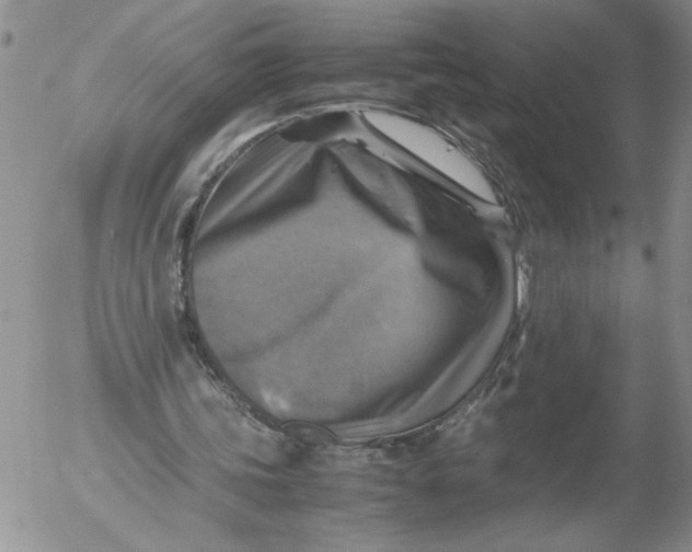 X0000053050339200508011853