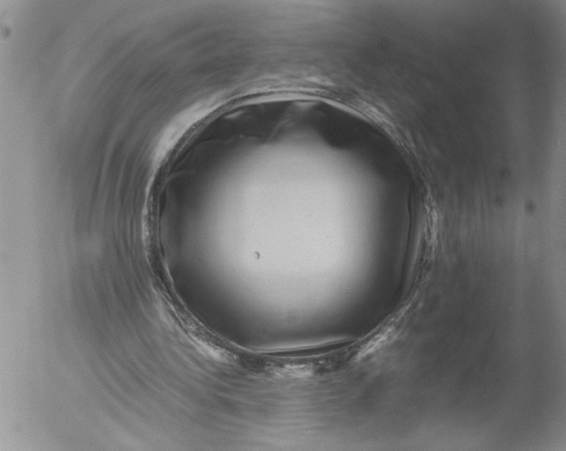 X0000053050340200508011853