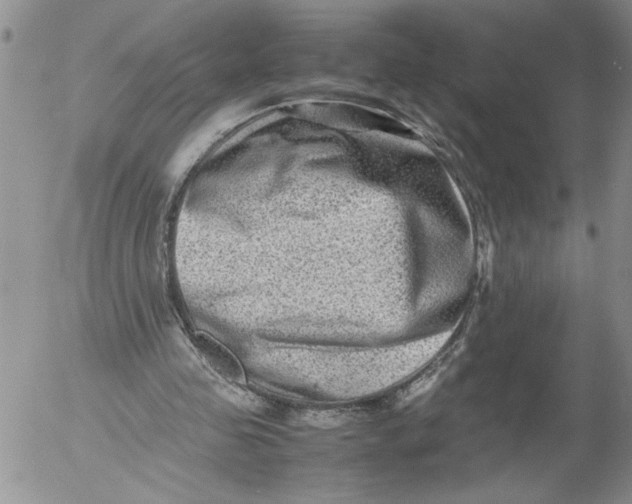 X0000053050341200508011853