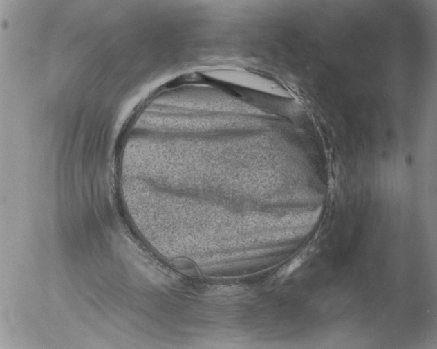 X0000053050342200508011853