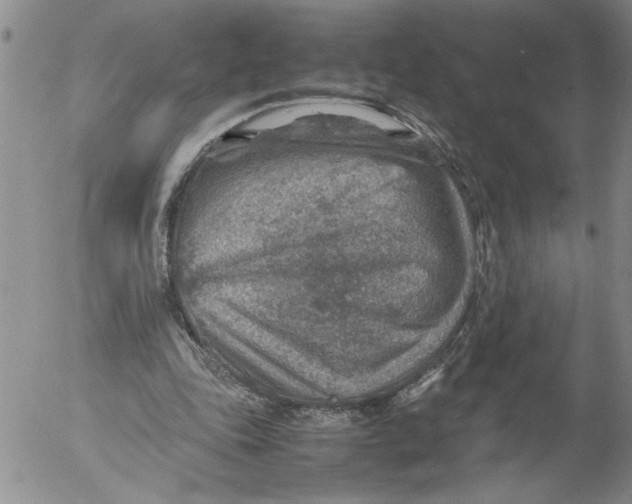 X0000053050343200508011853