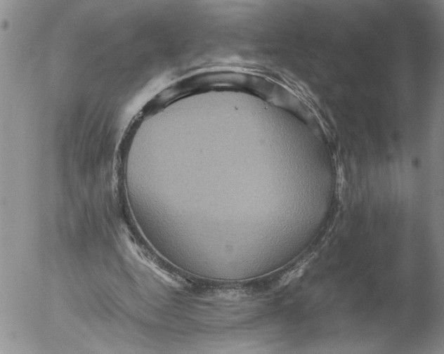 X0000053050344200508011853