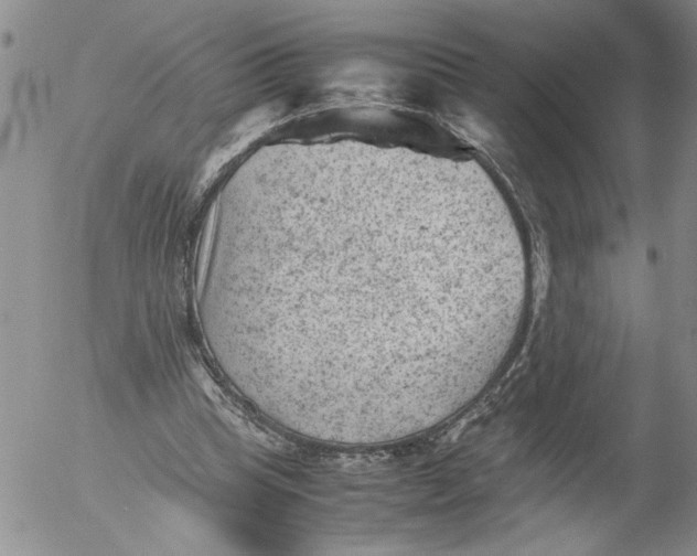 X0000053050345200508011853