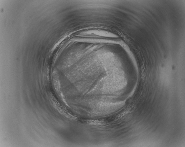 X0000053050347200508011853