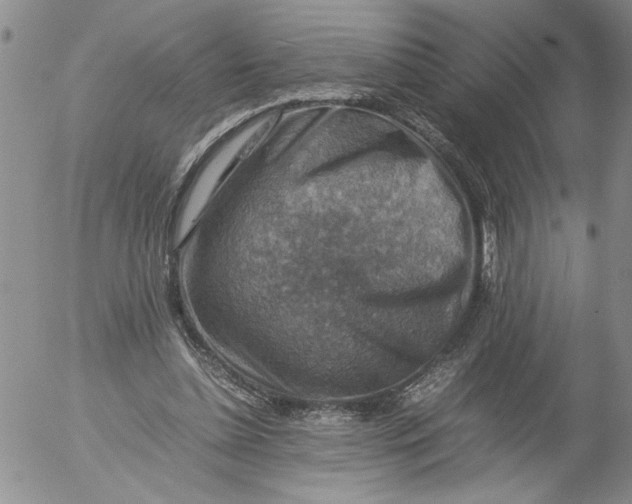 X0000053050348200508011853