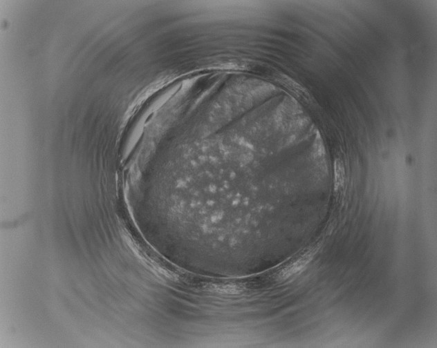 X0000053050349200508011853