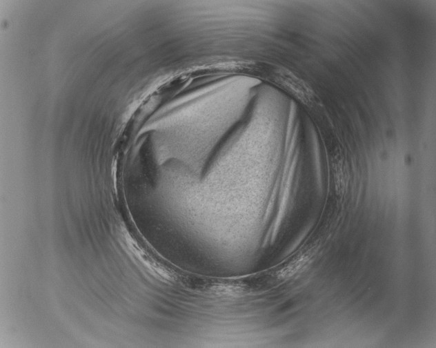 X0000053050350200508011853