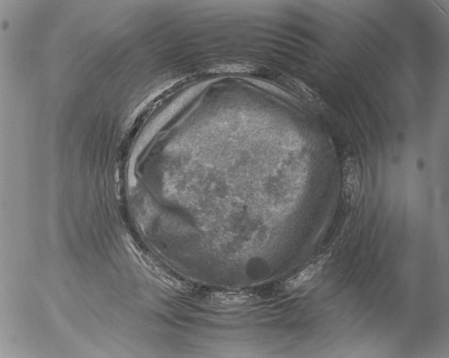 X0000053050351200508011854