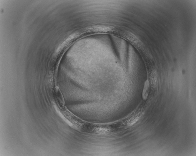 X0000053050352200508011854