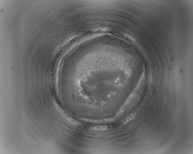 X0000053050353200508011854