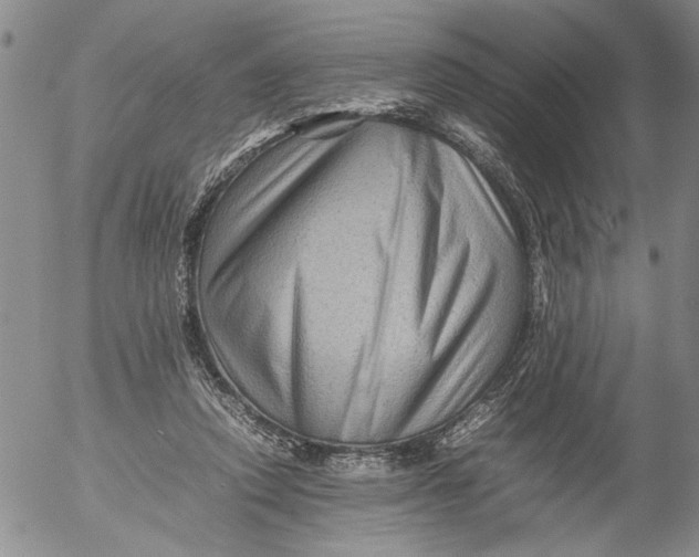 X0000053050354200508011854