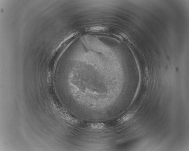 X0000053050355200508011854