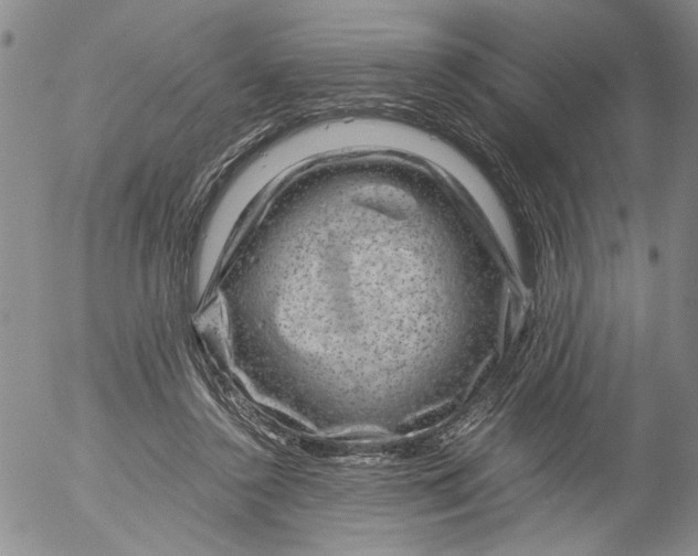 X0000053050356200508011854