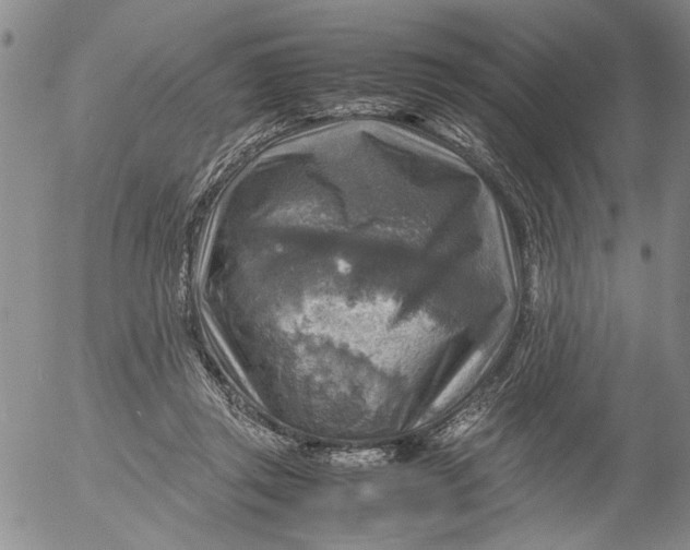 X0000053050357200508011854