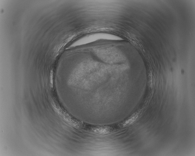 X0000053050358200508011854