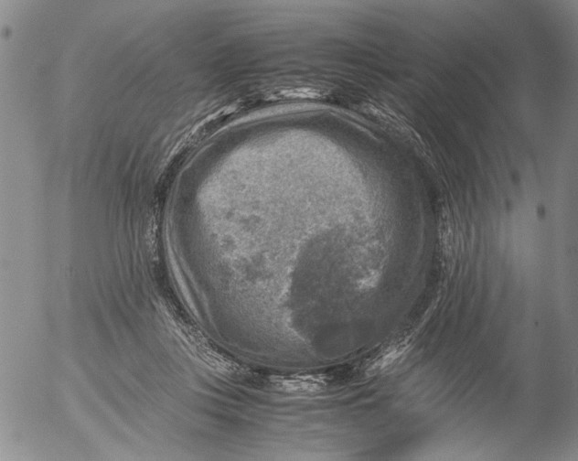 X0000053050359200508011854