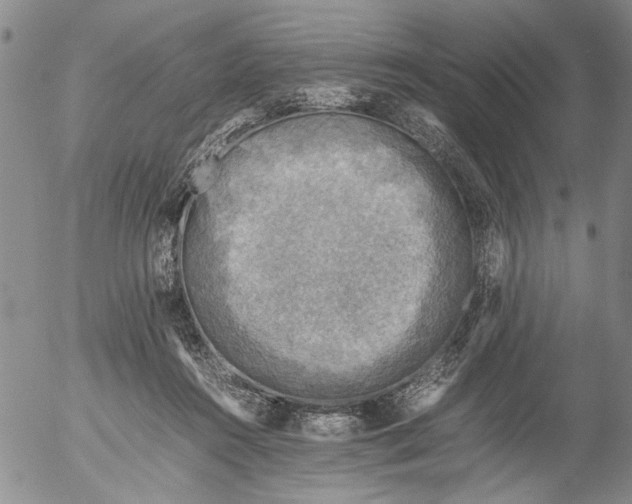 X0000053050360200508011854